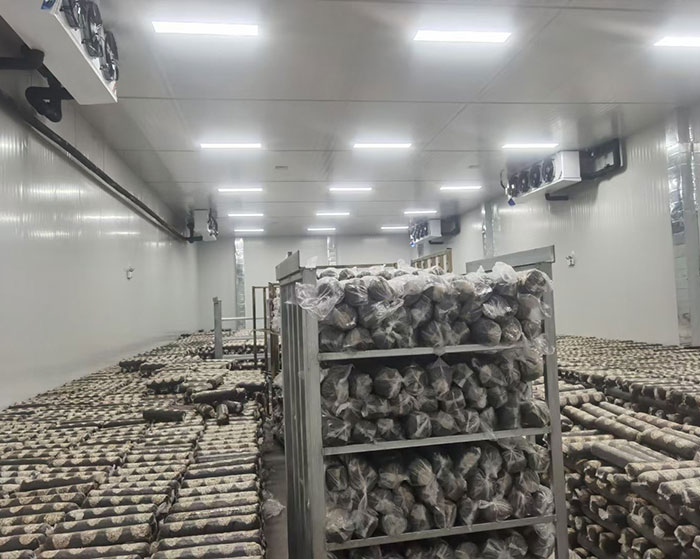 1647765361628656.jpg 菌棒养菌车间.jpg