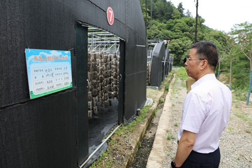 1656036262164602.jpeg 17-00-21-70-283825.jpeg