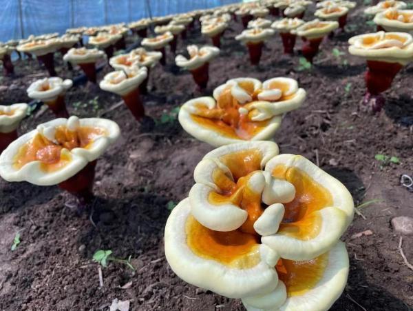 1657678880159609.jpeg 14-56-52-24-283825.jpeg