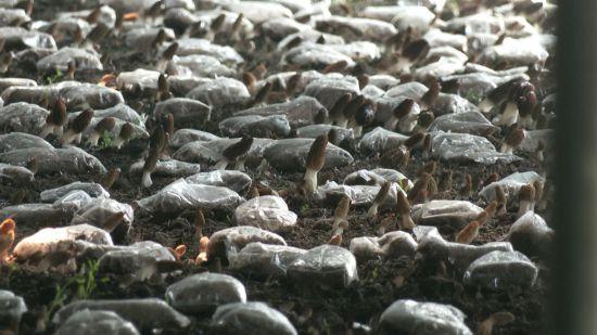 1658541122755243.jpeg 15-50-01-18-283825.jpeg