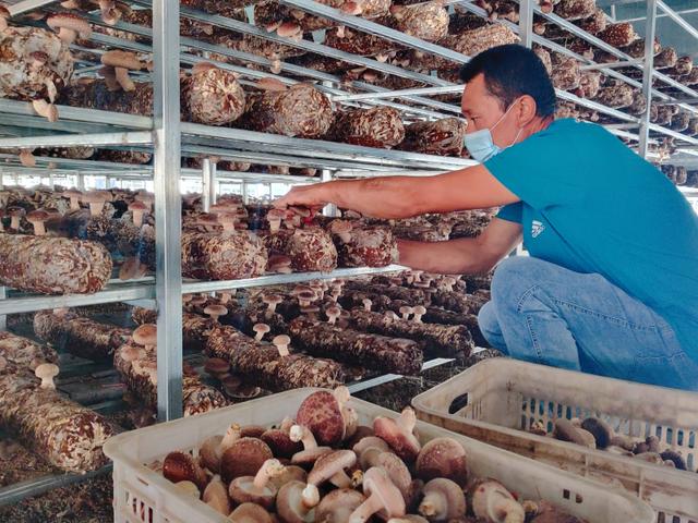 1663162539603159.jpeg 08-52-51-60-283825.jpeg