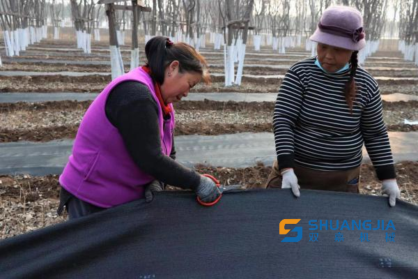 1674011324272496.png 13-43-11-41-283825.png