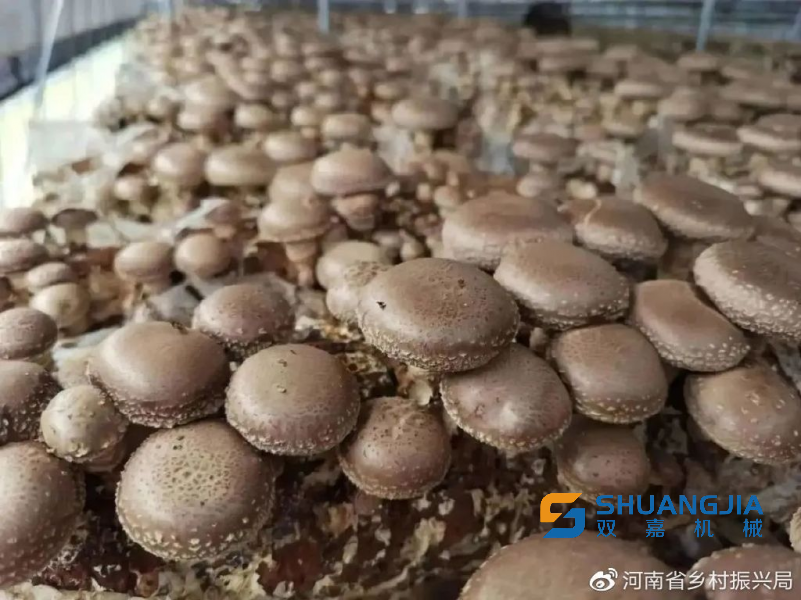 1679476887152708.png 10-43-14-43-451102.png