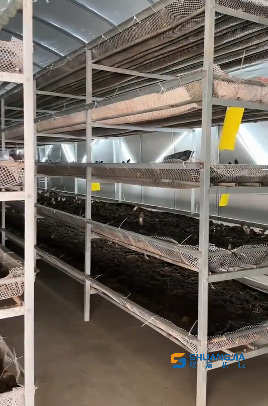 1680417601892751.png 09-38-46-75-451102.png